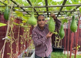 বিলেতে সাংবাদিক শামীমের সখের সবজি বাগান